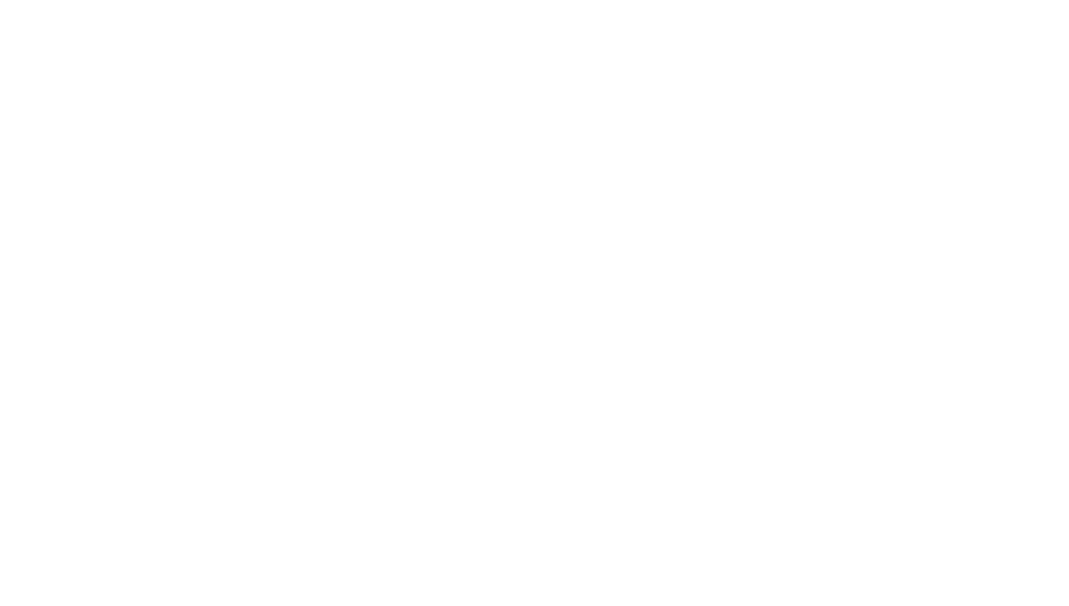 Nevelev House